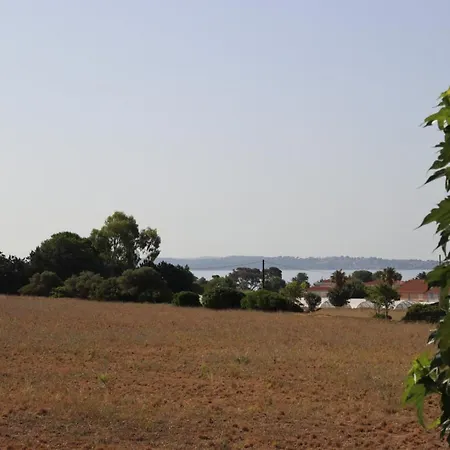 Le Petit Sud Lägenhet Carqueiranne